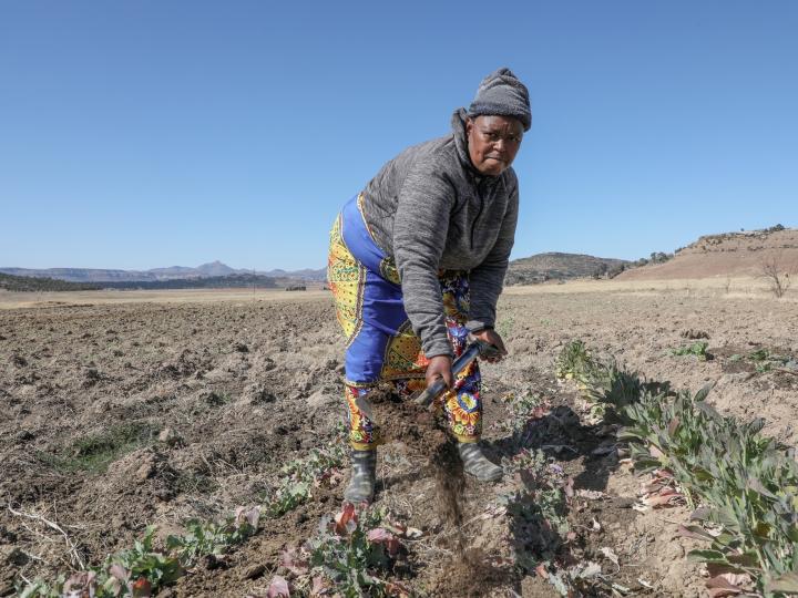 World Vision El Niño Response