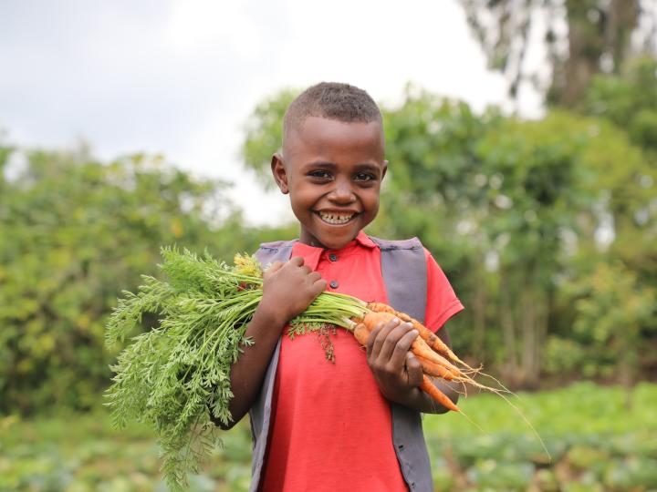 Livelihood Hero image