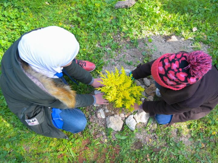 two girls planting a tree