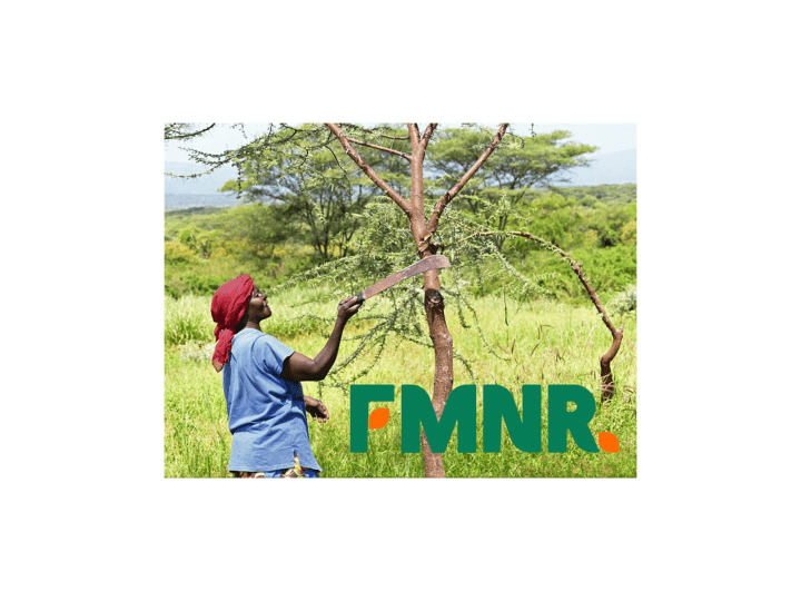 FMNR/africa