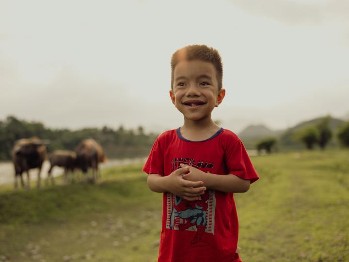 Gender Equality, Disability, and Social Inclusion in East Asia
