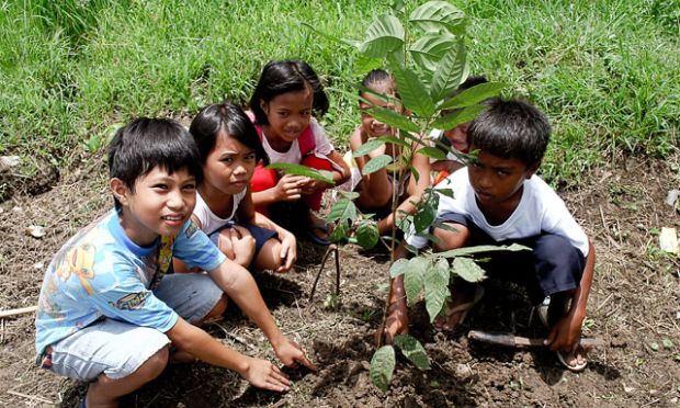 A Young Hero Of The Environment World Vision International Ralfs Family Lives In A Farflung Community In Samar In The Eastern Part Of Visayas Island Philippines Since They Live In An Agricultural Community Order To Write Assignment Top 10 also English 101 Essay Good Proposal Essay Topics