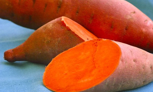 Image result for Orange-fleshed sweet potatO