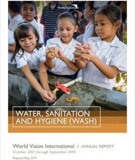 2018 WASH Annual Review