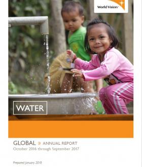 2017 WASH Annual Review