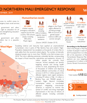 Central Mali Emergency situation report cover image