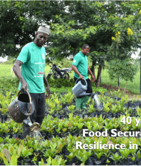 food security 