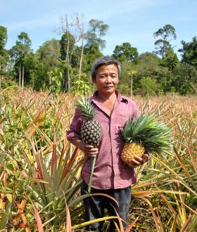 ACCELERATING HEALTHY AGRICULTURE AND NUTRITION (AHAN) PROJECT 
