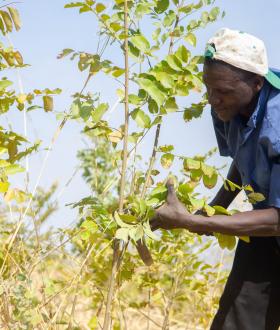 The European Commission’s Green Deal can help solving the international climate and biodiversity emergencies by shaping stronger and more sustainable partnerships with tropical forested countries. But this will only succeed, if it reconciles environmental sustainability, climate resilience and inclusive development.  