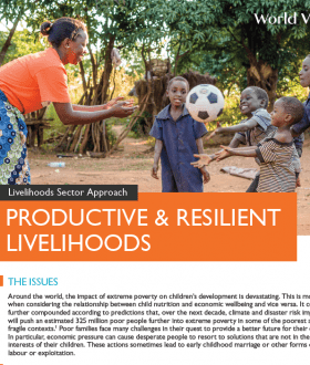 WVI Livelihoods Overview 2019