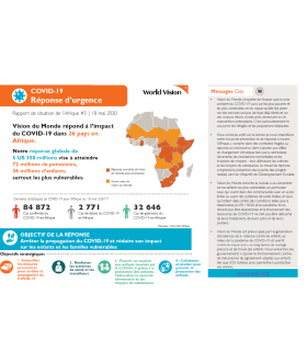 Rapport de situation sur l’Afrique #5