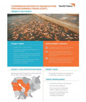 CAST Project Factsheet