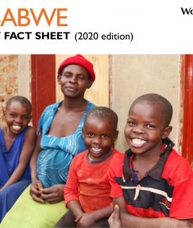 WVZ_Fact_Sheet_July 2020 update