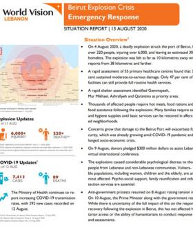 Beirut explosion sit rep 13, Aug. 2020
