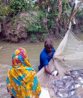 “Our Forest, Our Life”: A Community based Action towards the Sustainability of the Sundarbans Reserve Forest