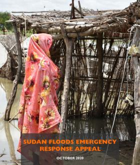 Sudan Floods Appeal 
