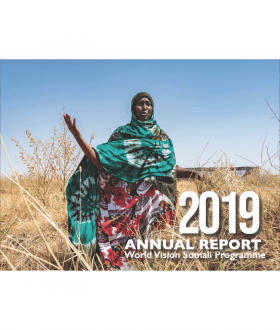 2019 Annual Report - Somalia.png