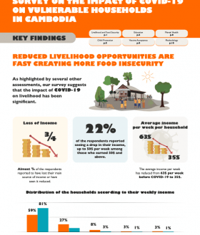 Survey on the Impact of COVID-19 on Vulnerable Households in Cambodia