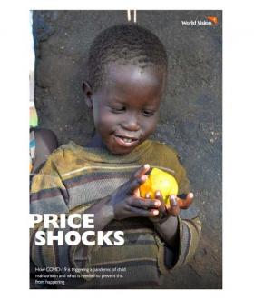 Price Shocks Report