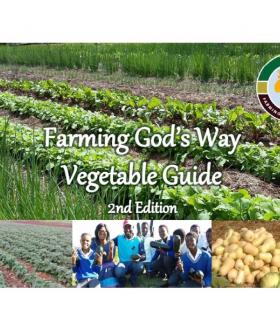 Farming God's Way: Vegetable Garden 