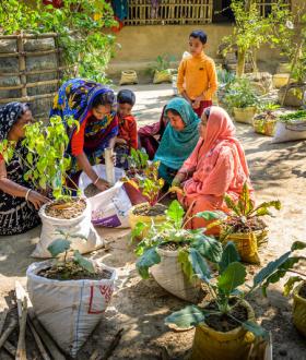 Agriculture policy brief 