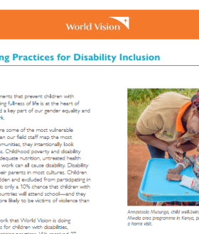 Promising practices for disability inclusion