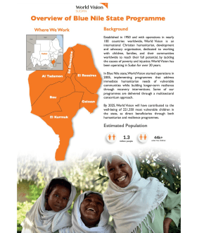 Blue Nile State profile