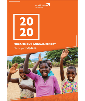 2020 Annual Report - Mozambique