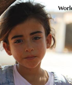 Cover image for Lebanon Case Study