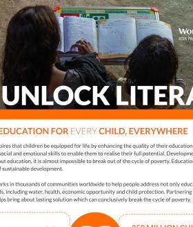 Capacity Statement | Unlocking literacy