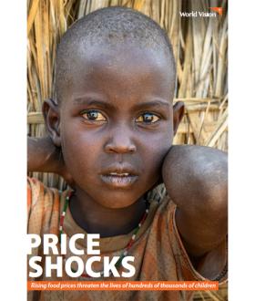 Price Shocks Global Report