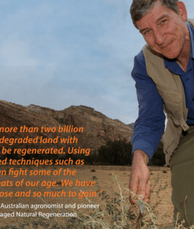 Restore land cover