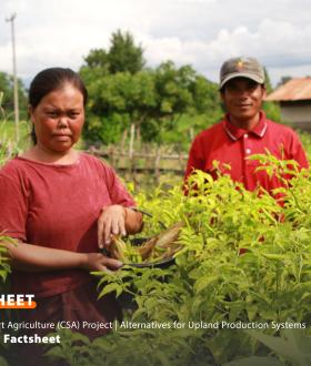 FAO CSA Project