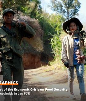 Laos - FIES infographics