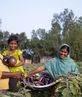 A man, a woman, and a child smiling in an aubergine crop