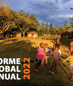 INFORME GLOBAL ANUAL