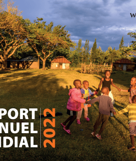 RAPPORT ANNUEL MONDIAL 2022