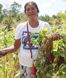 LIVELIHOOD AGRICULTURE CAPACITY STATEMENT