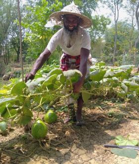a man bending over some farm produce