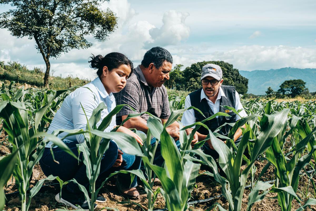 Farmer from Honduras participating in FMNR
