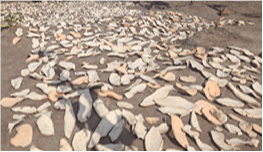 Traditional Sun-Drying of Orange-Fleshed Sweet Potatoes