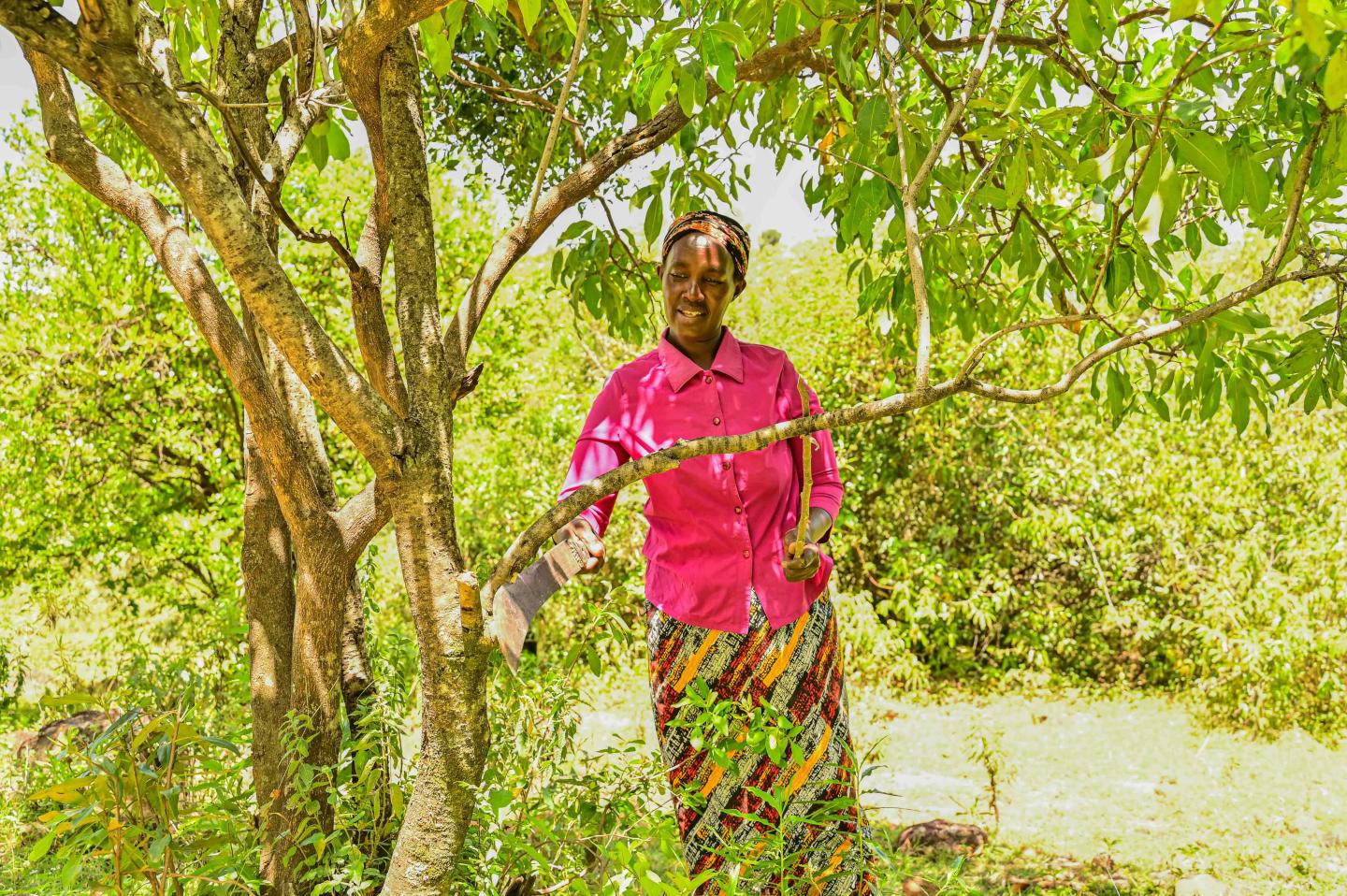 Irene learned to prune trees to balance shade and sunlight, creating better conditions for healthier crops. ©World Vision Photo/ By Hellen Owuor