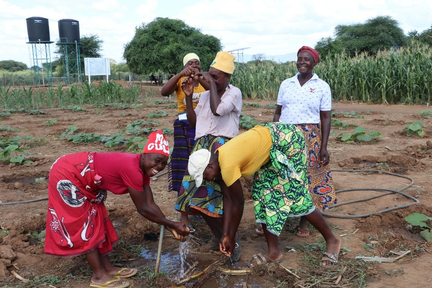 The garden has grown from 15 to 43 members and proudly produces fresh vegetables and fruits