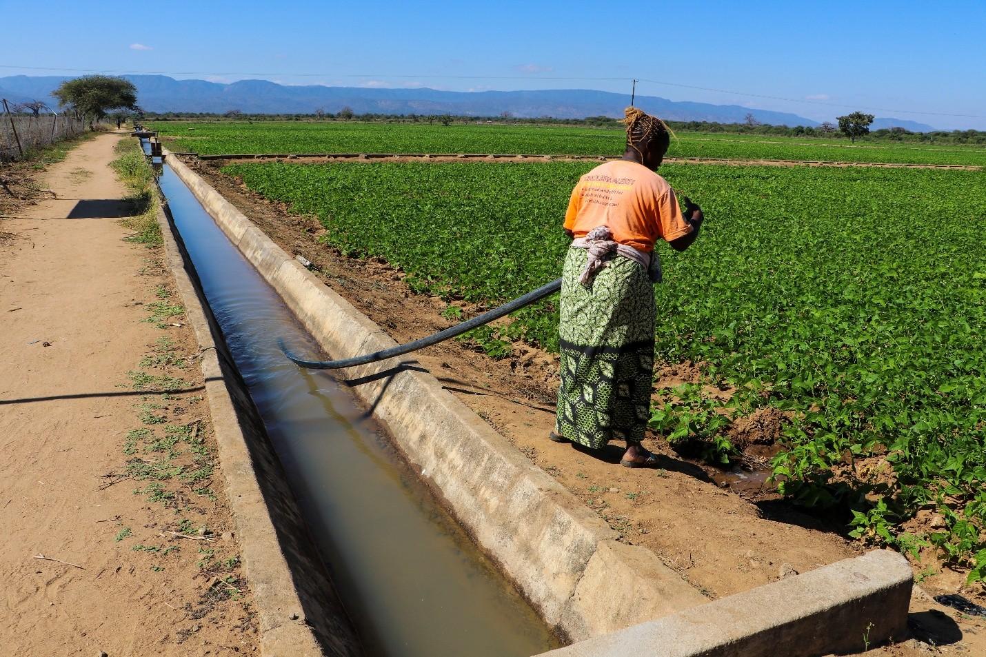 Flora drawing water from an irrigation canal.