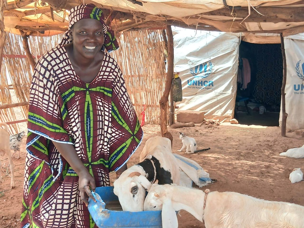Adama donne a manger aux moutons
