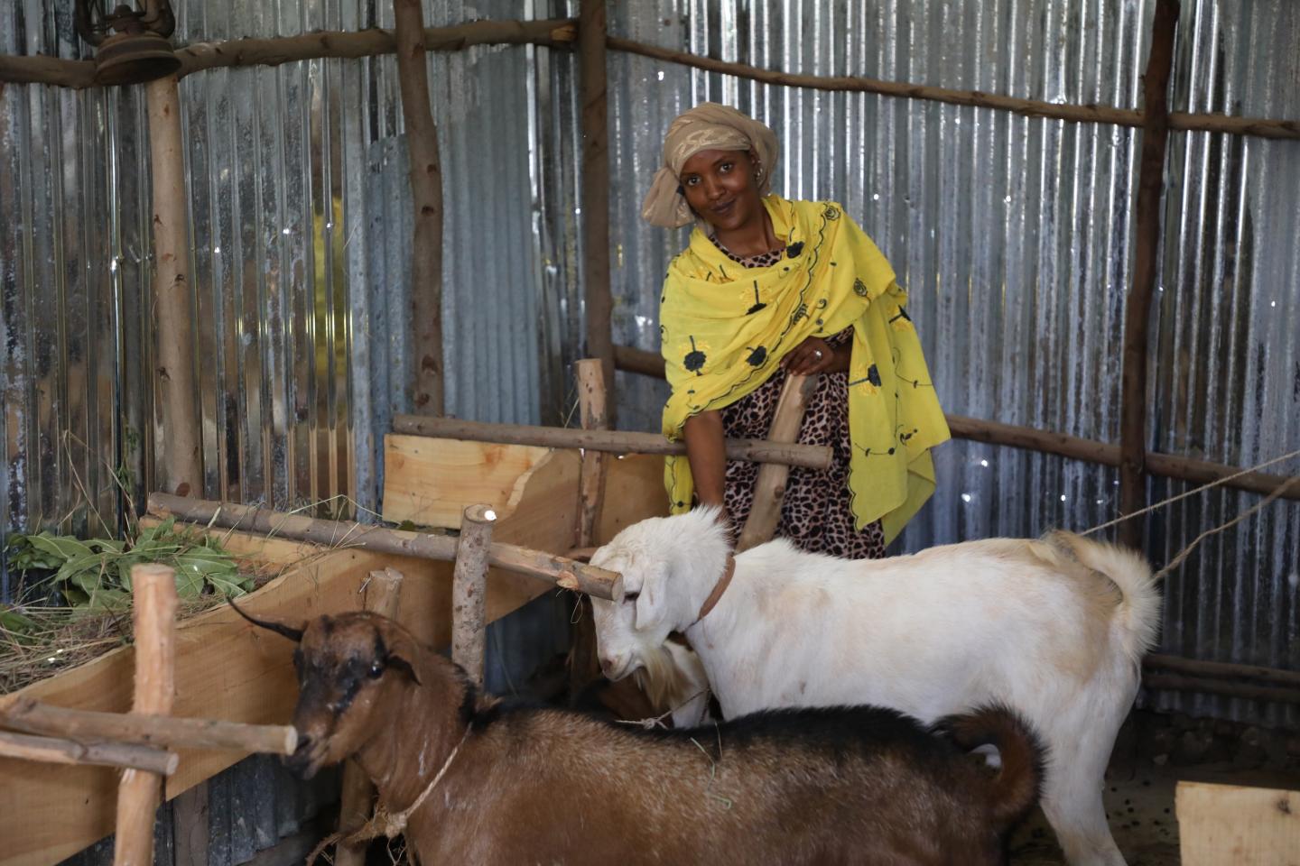 Fami expand her goat-fattening business