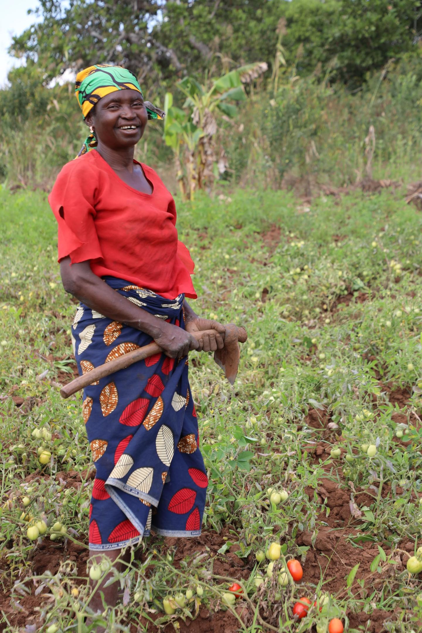 Members of local producer groups work the field in Monapo