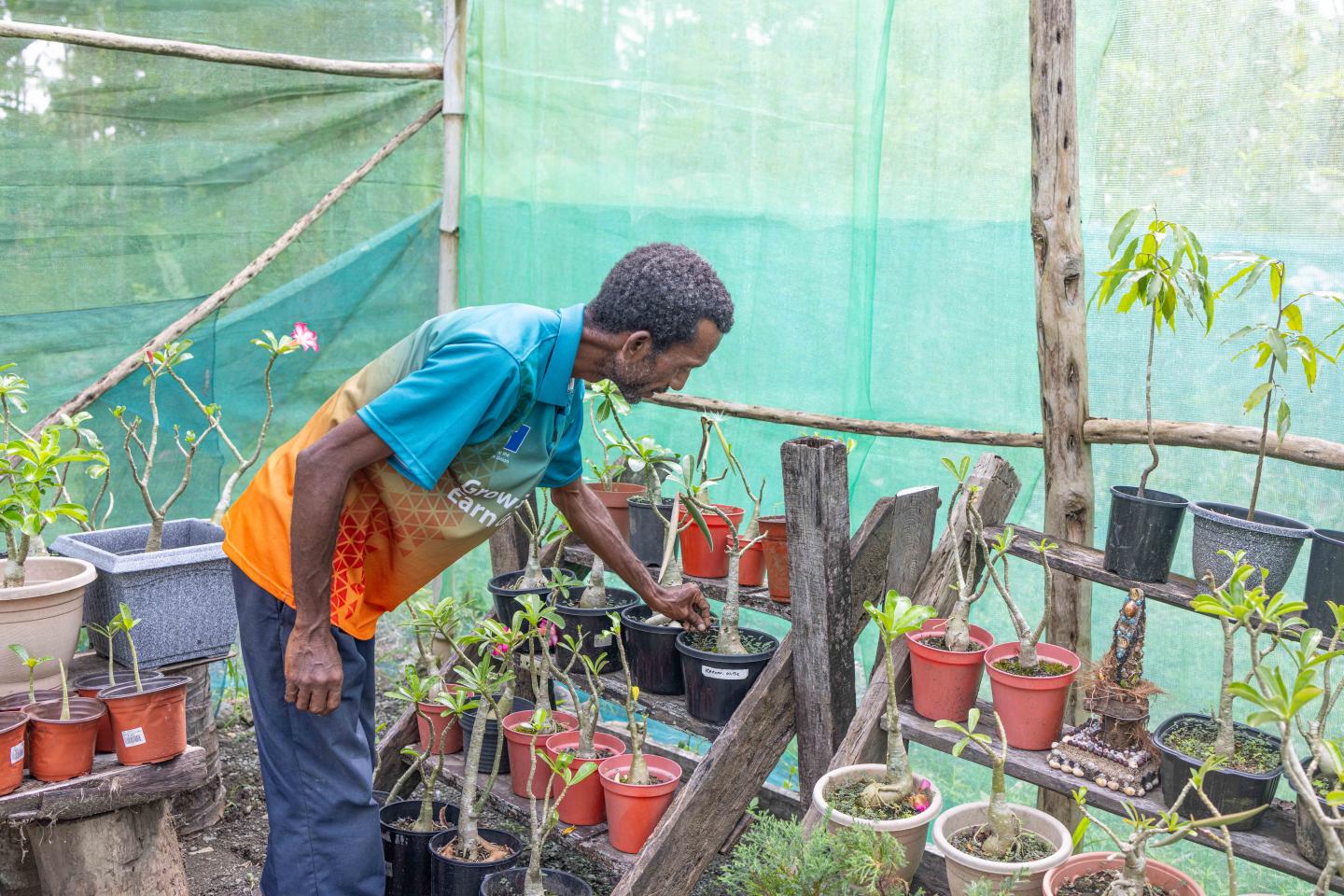 William showcasing flower products at his backyard nursery