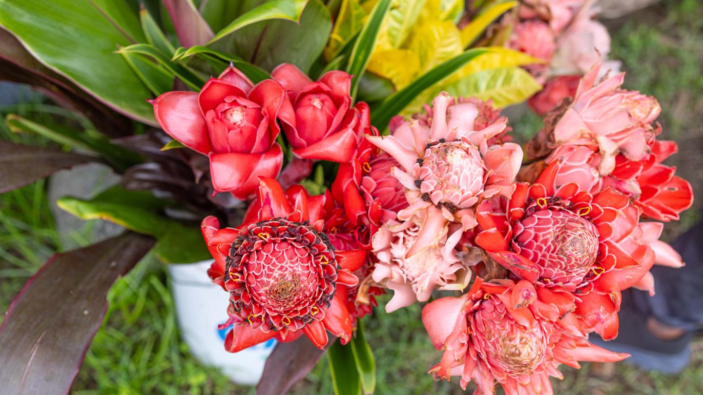 Florist products