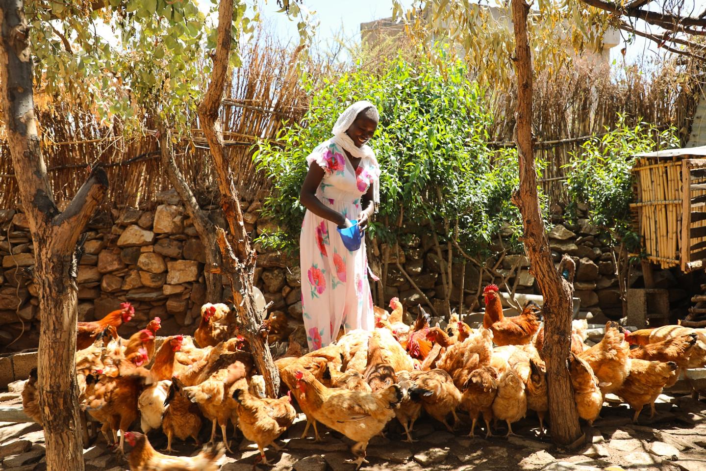 Senait  feeding her chicken in her backyard